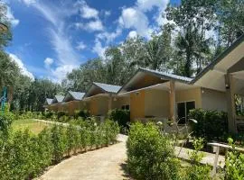 honeyhome kohkood