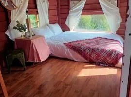 Nắng Xinh Homestay