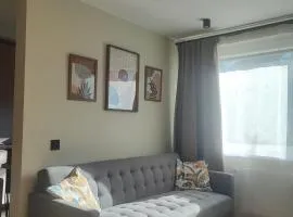 Žemaičių 8