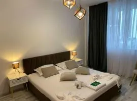 Oltenia Studio Happy Residence 3 - Elena Teodorini 51- Craiova