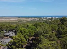 Chalet familial entre les pins