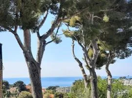Maison bord de Mer au calme sous les Pins