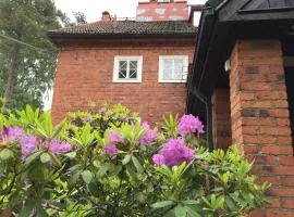 Famous Villa Bertel Jung