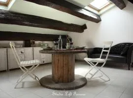 STUDIO LOFT FERRARA centro storico vista castello