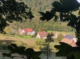 Appartement douillet avec vue sur les montagnes