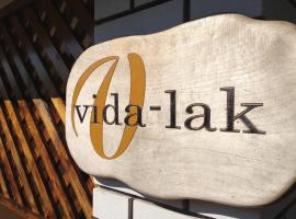 Vida-lak, hotel en Berekfürdő