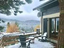 Grand chalet de charme cosy, sauna & vue de rêve