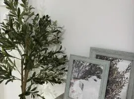 El Olivo Verde