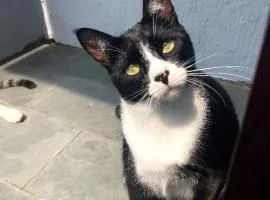 Férias Caraguatatuba