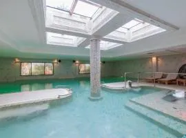 판체보에 위치한 호텔 Hotel Tamiš & Spa