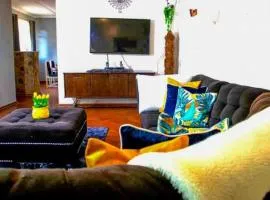 The Adventure Begins