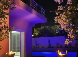 Villa contemporaine - 6 chambres - piscines et jacuzzi