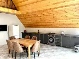 A Frame Villa Gabala