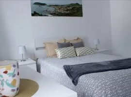 Uma horta na Horta