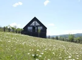 The Black Hills - Cottage in Dusheti
