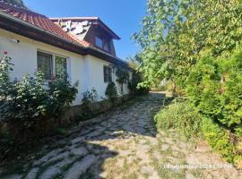 Pensiunea CASA MAXIMUS, vila v mestu Moneasa