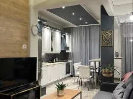 Central 4 Modern Apartment with free parking