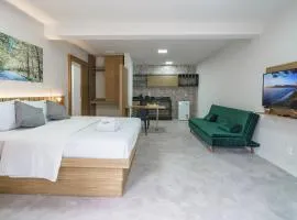 LOFTS GREEN ISLAND