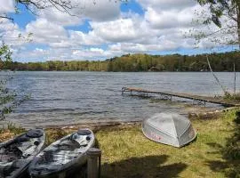 Life on Mickey Lake