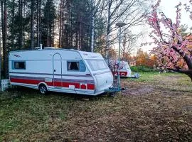 Santa's winter Caravan-Kabe Ametist