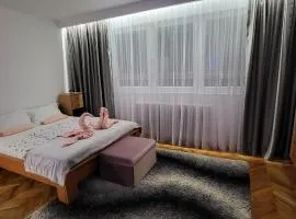 Apartman Jelena