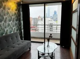 Andes Vista Providencia