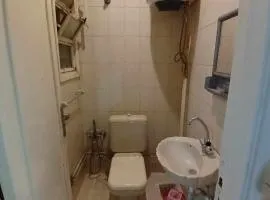 منيل روضه