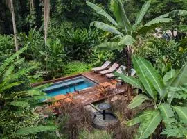 Luxury Villa plus 2 Cabins Rainforest Estate Natural Swim Pond