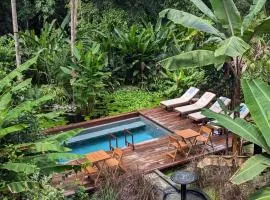 Luxury Villa Rainforest Estate Natural Swim Pond