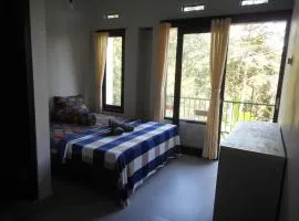 Terrace Homestay Besakih