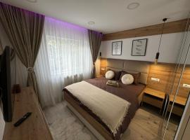 Deluxe Retreat & Business Apart, allotjament amb cuina a Iaşi