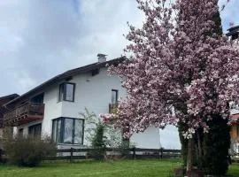 80qm Appartement, 3 Schlaf-Zimmer, integrierter Küche und Bad, 2min von A8, Garten mit Sitzgruppe, ruhig und modern