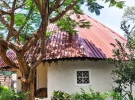 Bushbaby Cottage Diani Beach - with Starlink Highspeed Internet !!!!
