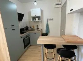 LE PASTEL Superbe appartement Avignon