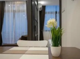 Deluxe Apartment at MINORI building