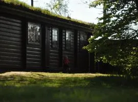 Log-House Wildernest