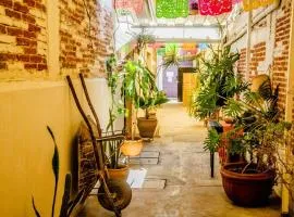 The Green Loft, Oaxaca Centro