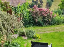 Chambre d'hôte, suite duplex 50 m2 en pleine nature sur les hauteurs de Brioude