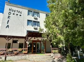 Hostel Horia