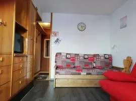 Studio cosy à Plagne Villages, balcon ouest, centre station, proche pistes et commerces, 4 pers. - FR-1-351-71