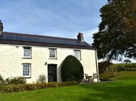 Penuwch Fach