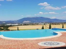 Borgo su Assisi