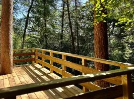 TINY HOUSE - La cabane de Tom