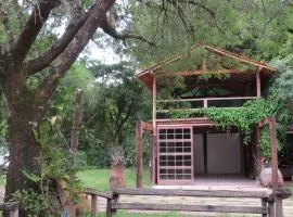 Casa da Arvore