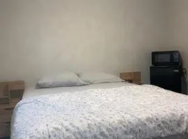 Near Toronto Pearson Airport Queen Room