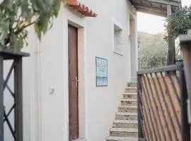 Giglio di Mare