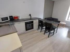 appartement rénové centre ville