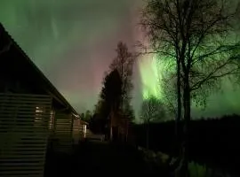 Arctic Resort Delight