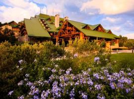 Disney's Wilderness Lodge, hotel di Orlando