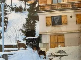 CHALET FAMILIAL AURON